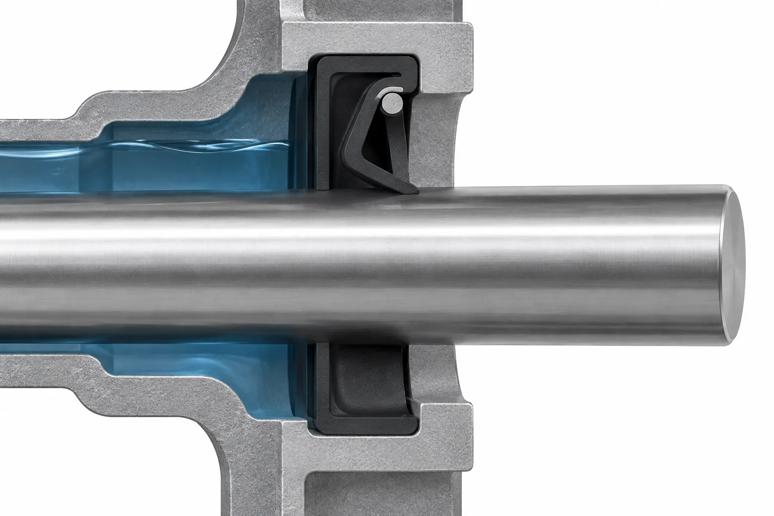 Conceptual shaft and radial lip seal cutaway
